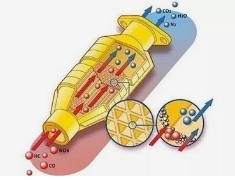 Cerium Zirconium Lanthanum Neodymium solid Rare Earth Catalyst