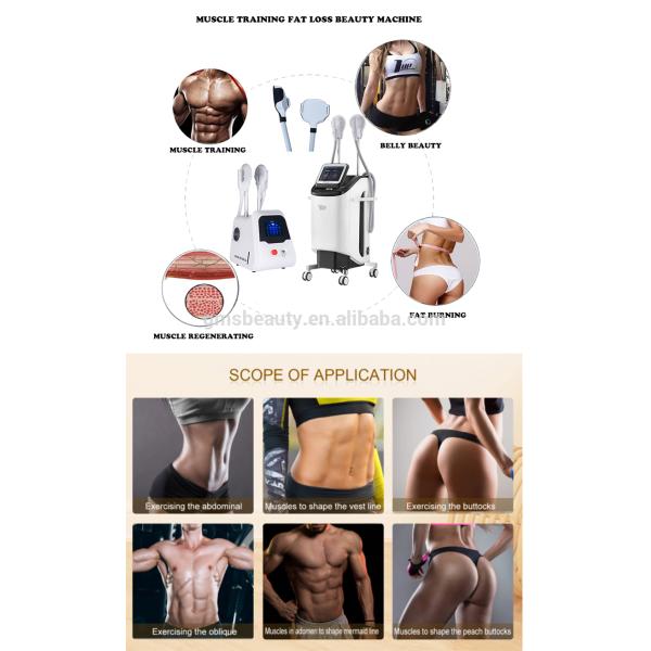 2800W ems muscle stimulator Private Pelvic Floor Muscle Training Device Ems Slimming Machine