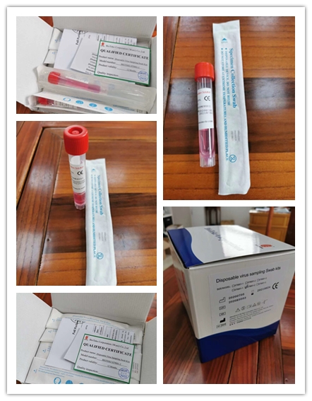 Influenza Virus Save Blood Specimen Tubes Virus Flu Test