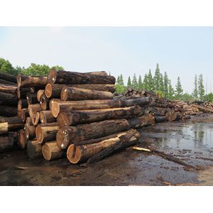 Lonson Veneer Co.,Ltd