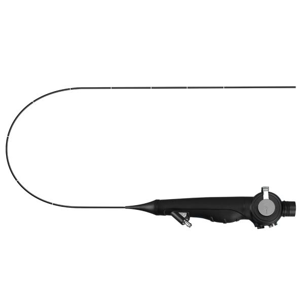 Portable Flexible Endoscope Video Camera For Small Animal Gastroscope And Colonoscope