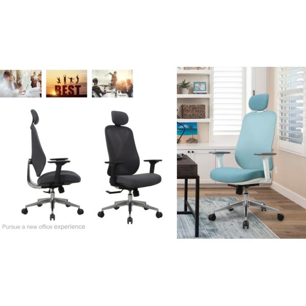 330 Polished Ergonomic Office Chair Aluminum Base Executive Ergo Lumbar Support