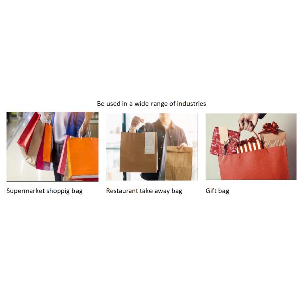 Custom Twisted Handle Kraft Paper Bags Eco Friendly Printed Brown Paper Bags