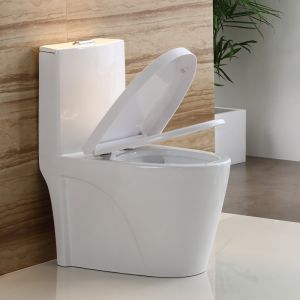 Dual-Flush One Piece Toilet with Ceramic Water Tank