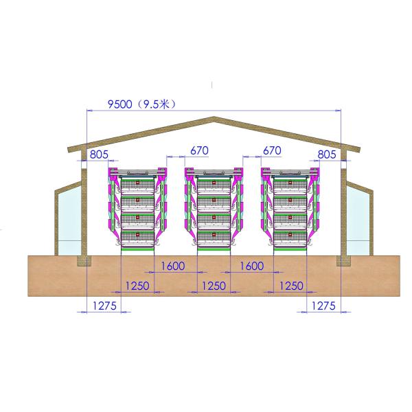 30000 Chicken Egg Layer Cages