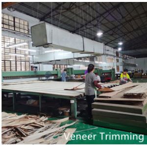 Dongguan Yinghui Wood Industry Co., Ltd.