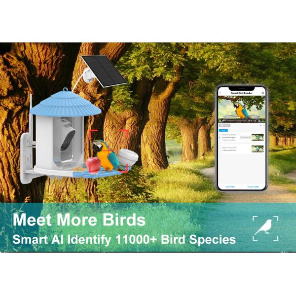 IP66 Waterproof 4MP Smart Bird Feeder 2.5L Wildlife Smart Bird Camera