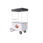 Freezer Cart Scooter Bicycle CE Customized logo For Ice cream Sale White All