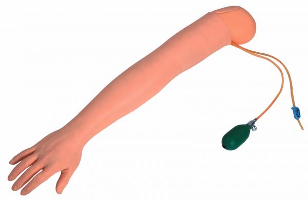 Quality Artery Puncture Arm With Infusible Aeteries Designed For School Student Training for sale