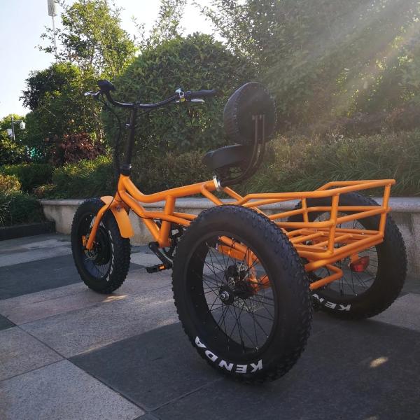 Green Travel Electric Assist Mountain Bike With LCD Multi Function Display