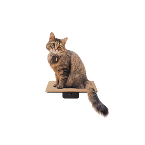 Black Powder Coated Cat Climbing Steps Wall Pet Furniture Sturdy Iron Cat Stairs