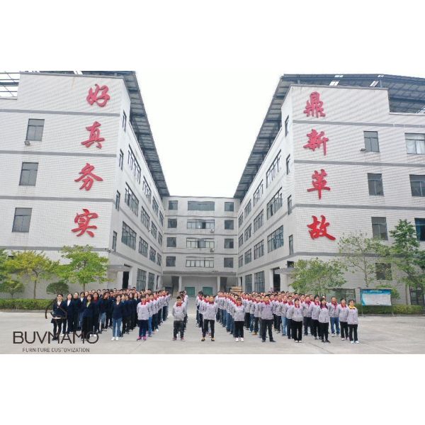 OEM/ODM Custom Quality Apartment Furniture with Luxury Design and Affordable Pricing in China