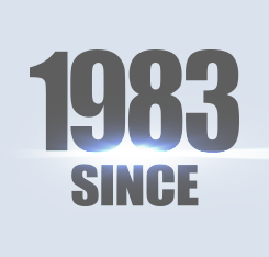 Bluesun Solar Home Power Kit Solar Single Panel Luxen 36v 280w 290w 300w Poly Solar Panel High Power Panels