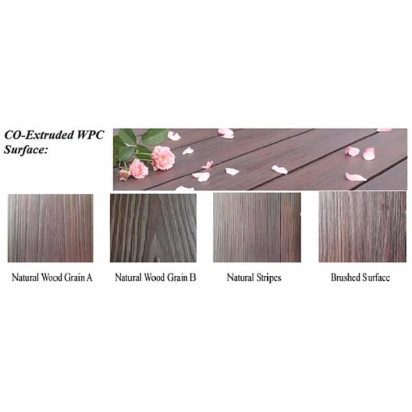 12 Foot WPC Co Extrusion Composite Decking Outdoor Wood Floor OEM