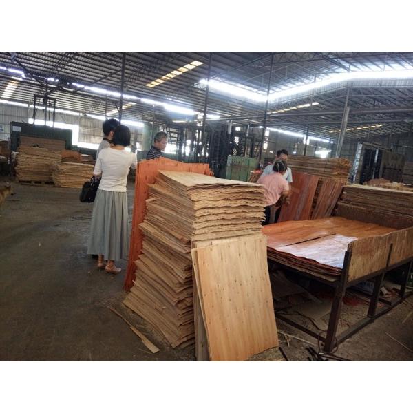 High Abrasion Resistance Building 21mm Phenolic Faced Plywood