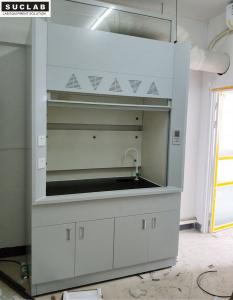Cheap Laboratory Steel Fume Hood With Exhaust System In Chemistry Laboratory wholesale