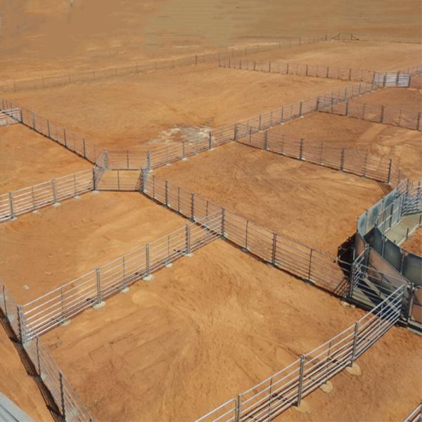 Galvanized steel farm gate/farm fence gates