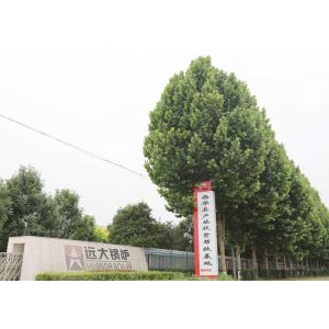 Henan Yuanda Boiler Co., Ltd.