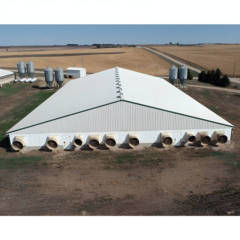 Cheap High Quality Fast Assemble Layer Broiler Chicken Steel Farm Building wholesale