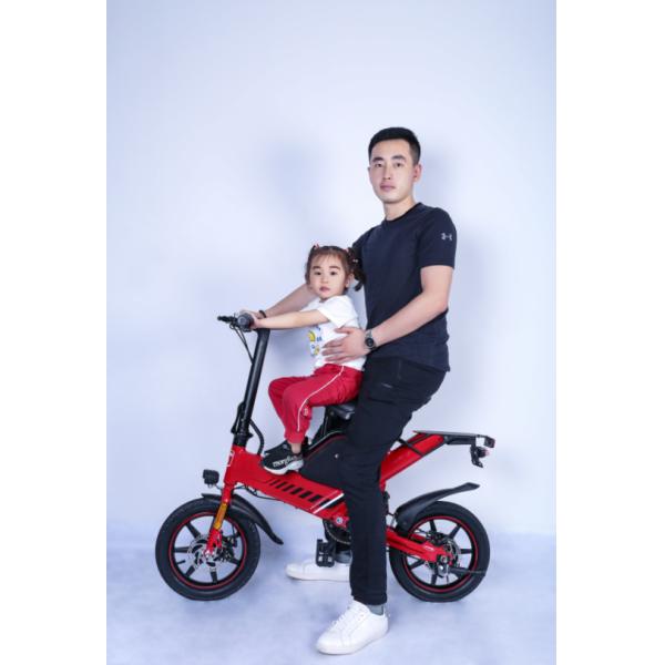 Brushless Motor 400W Portable Folding Electric Bike Lithium Battery Power Supply