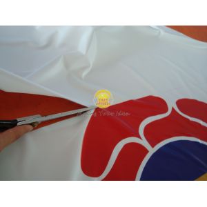 Guangzhou Troy Balloon Co., Ltd