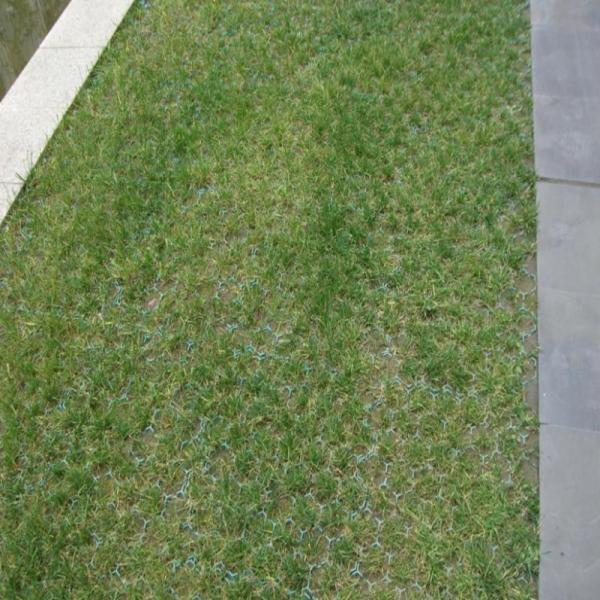 5cm Height HDPE PP Material Plastic Planting Grass Paver Grid for Parking Lot and Driveway
