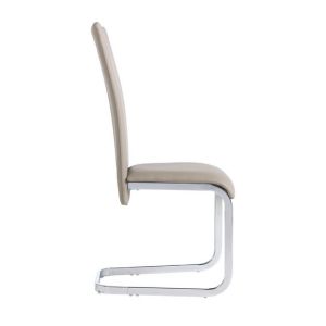 0.25CBM 42cm Modern Dining Chair With Brushed Stainless Steel