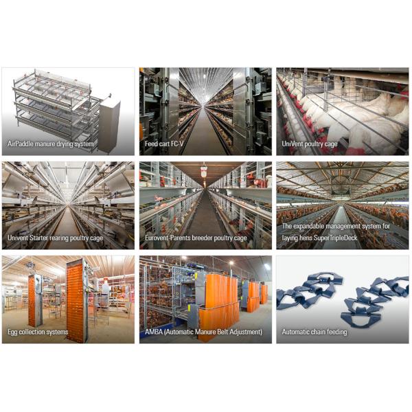 Galvanized A Type Chicken Cages Layer Poultry with ISO9001 2008/CE/BV Certification