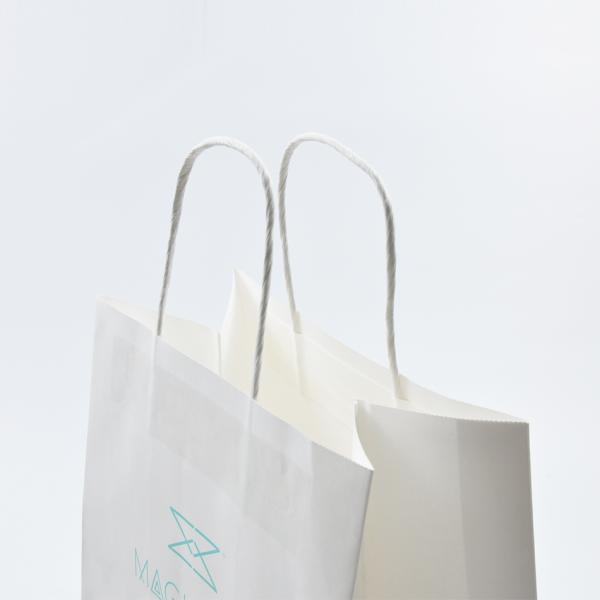 Eco Friendly Printed Paper Bags Portable With Handle Oem Odm Available