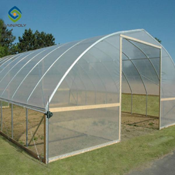0.5KN/M2 Clear Polythene Single Tunnel Greenhouse