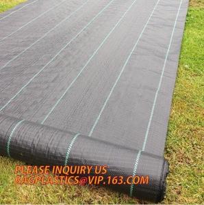 Cheap 100% pp non woven perforated fabric weed control mat weed barrier anti weed mat,100% pp cover fabric weed control mat we wholesale