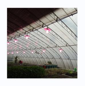 Cheap Full Ventilated Film Covered Polyethylene Three Earth Wall Greenhouse for Winter Season wholesale