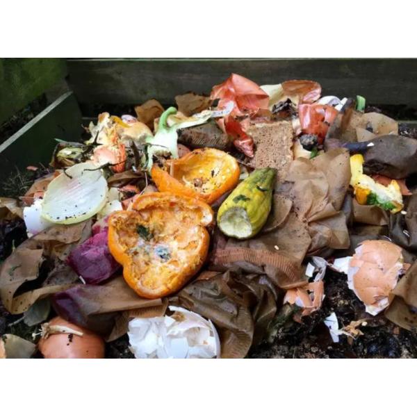 Organic Waste Processing Plant Kitchen Waste Fertilizer Machine