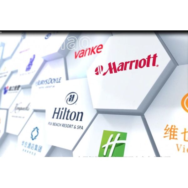 OEM/ODM Custom Quality Apartment Furniture with Luxury Design and Affordable Pricing in China