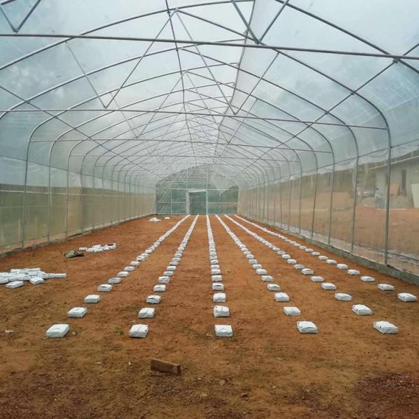 Agricultural Plastic Film Greenhouse Large Size High Latitude Area Ecological