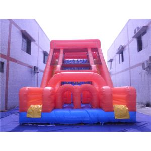 Cheap Fun Double Inflatable Slide (CYSL-56) wholesale
