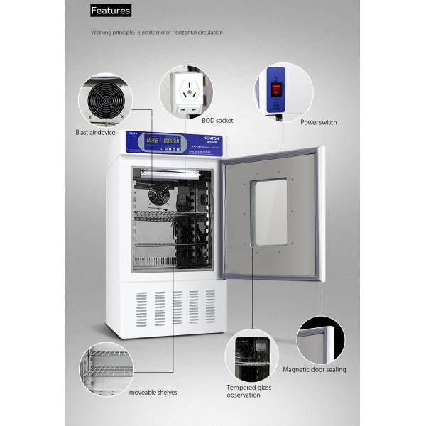 Cooled Thermostatic Incubator Laboratory Bacteriological Incubator With Refrigerated 0-65C