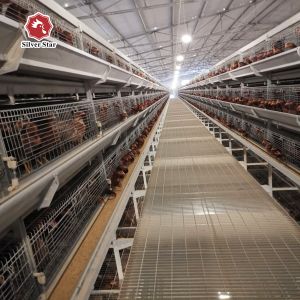 Cheap Q235 Steel Mire Battery Layer Chicken Cage Breeding Hens Cage wholesale