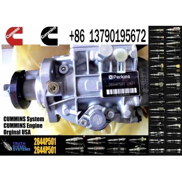 3056E Fuel Injection Pump 2169824 216-9824 2644P501 2644P501R 0470006003 0470006010 0986444518 for Perkins 1106C-E60TA E