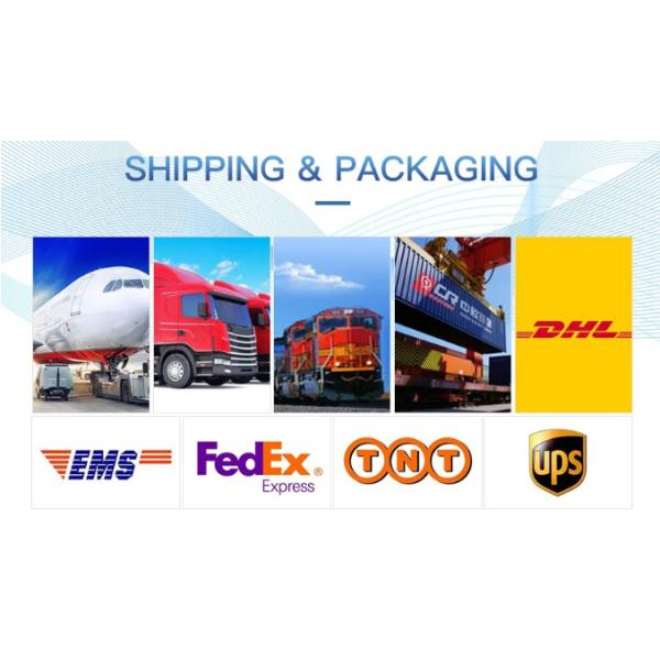 3V 12V 24V Small Motor FF-180SH Motor 6000rpm 12000rpm 15.4*20.4mm For Shaver Toothbrush