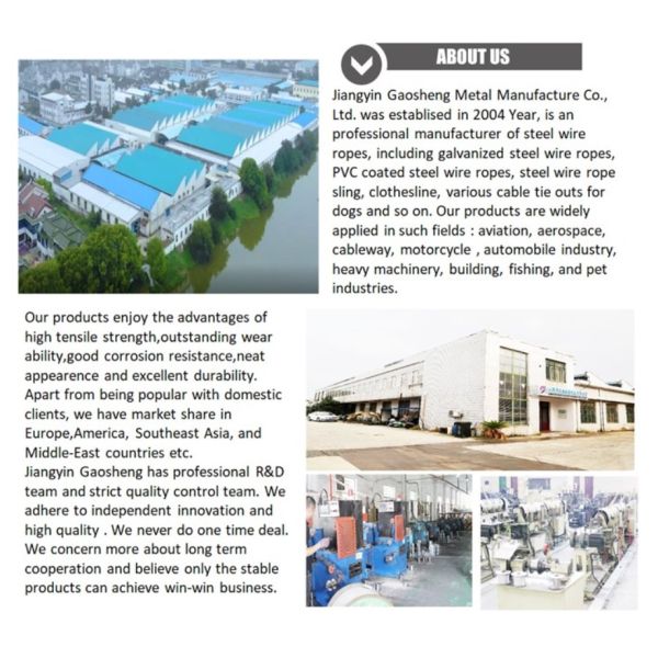 No Sit Haunch Holder Dog Tie Out Cable Adjustable For Grooming Noose