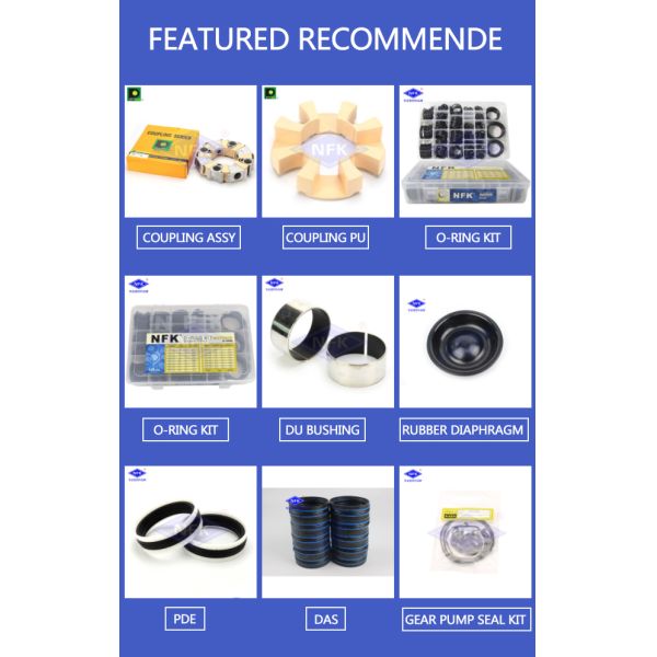 Japan Brand Db2 Rubber Oil Seal National Skeleton 100*125*20 Oil Seal For Hydraulic Pump