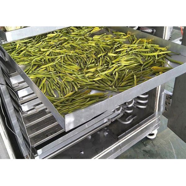 Air Cooling 200kg Capacity Industrial Freeze Dryer Machine