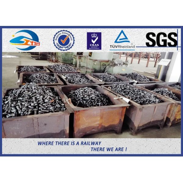 High Tensile Black Surface Railway Bolt / Railroad Grade 5.6 T Head Track Bolt