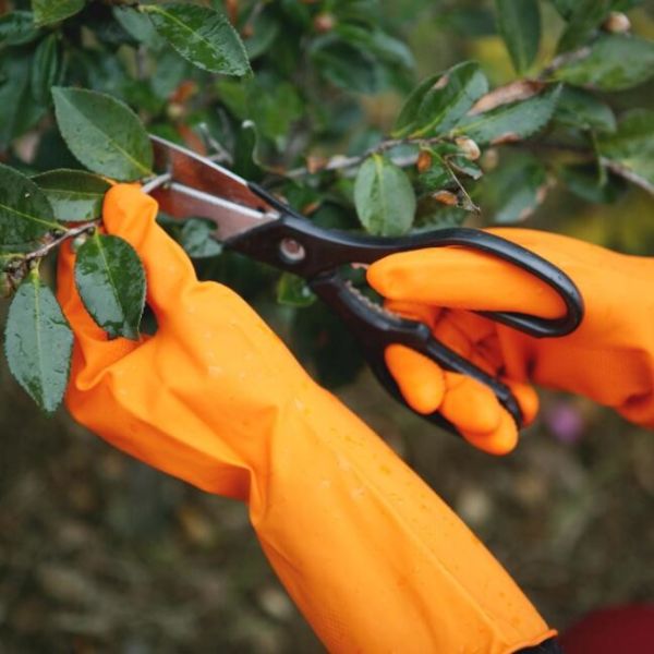 Quality Excellent Grip Durable Garden Gloves  Tear Resistant Kitchen Rubber Gloves for sale