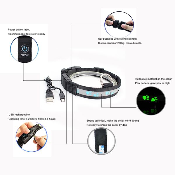 C903 Safety Nylon Webbing USB Rechargeable LED Pet Collar Leash Led Dog Collars in darkness