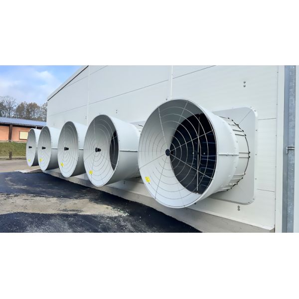 Galvanized A Type Chicken Cages Layer Poultry with ISO9001 2008/CE/BV Certification