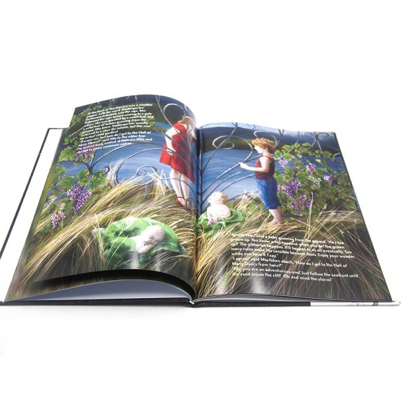 Wholesaler Custom High Quality Overseas Hardcover Children Offset Picture Book Printing
