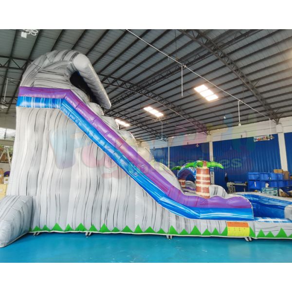 Multi Color 0.55mm PVC Outdoor Inflatable Water Slides