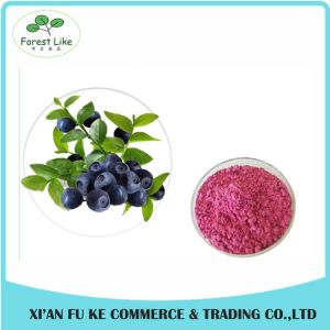 China 100% Natural Fruit Dried Blueberry Powder on sale